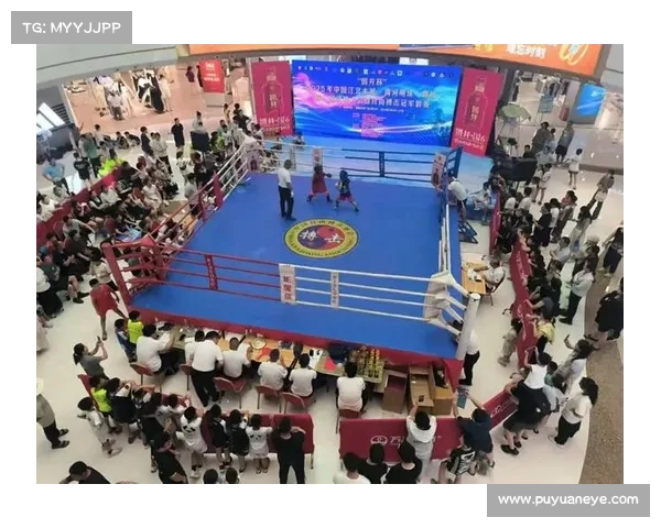 2015年自由搏击赛事;2016年自由搏击冠军