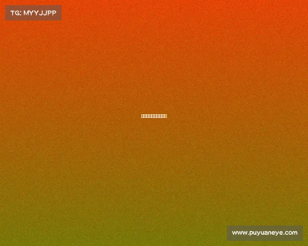 世界赛种子有什么区别