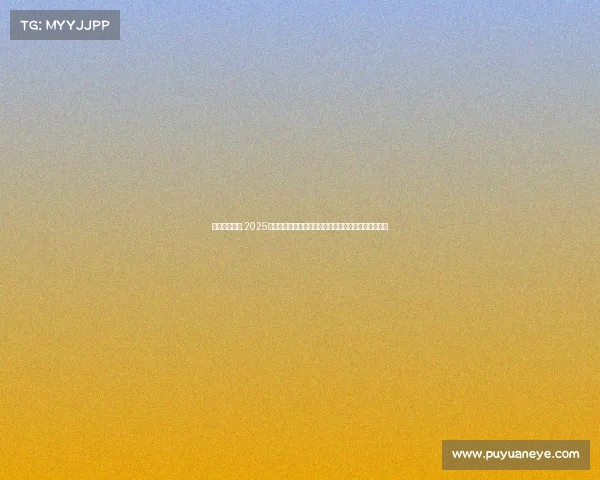 垒球国际赛事,2025环球垒球冠军联赛盛大启幕顶尖强队云集争夺王者宝座