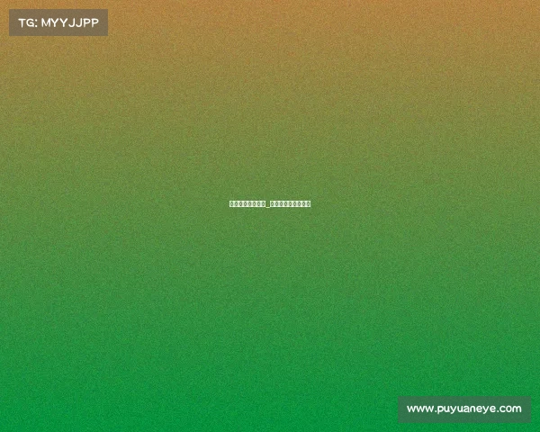 最厉害的格斗赛事_格斗水平最高的赛事