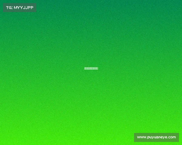 散打赛事计划怎么写 散打赛事计划怎么写