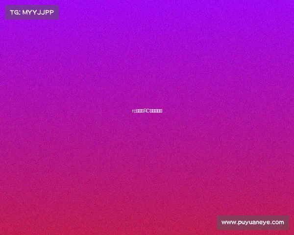 rc赛事、RC赛事的全程